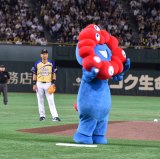 wTg[ h[}b`2025xOPZj[&nɓoꂵ~N~N (C)ORICON NewS inc. 