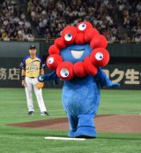 wTg[ h[}b`2025xOPZj[&nɓoꂵ~N~N (C)ORICON NewS inc. 