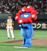 wTg[ h[}b`2025xOPZj[&nɓoꂵ~N~N (C)ORICON NewS inc. 