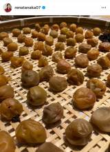 �c����ށu������̂���v (�ʐ^�̓C���X�^�O���� @renatanaka07 ���) 