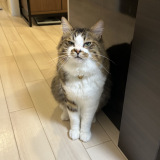 XAJEgE@hotanyan̈LEقĂ(ʐ^X) 