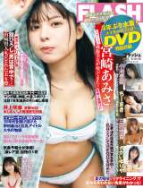 �u�T��FLASH�v8��5���������\��(C)������/�T��FLASH 