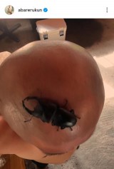 ΂Nȗ鋫!!v(ʐ^̓CX^O @abarerukun ) 