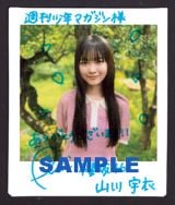 wTN}KWx36/37ɓoꂷN46RF 