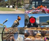 CORTIS�A�d�|���ɖ������v�����[�V�����X�P�W���[�����J(P)&(C)BIGHIT MUSIC 