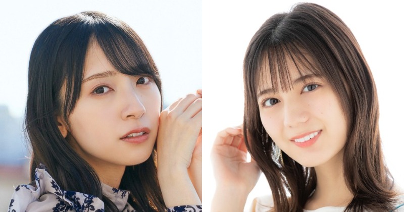 日向坂46 3冊セット 日向坂46コレクションD ソンナコトナイヨセット / 日向坂46