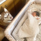 ����Ԃ��Ȃ����q����ƃV�x���A���n�X�L�[�̂邩�����(Instagram/@luca.0823���) 