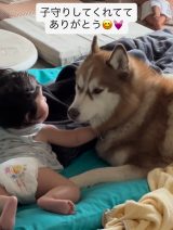 ����6�����̒j�̎q�ƃV�x���A���n�X�L�[�̂邩�����(Instagram/@luca.0823���) 