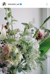 ���ΐ��u�킽�������Ƃł���27�΂ɂȂ�܂���!�v(�ʐ^�̓C���X�^�O���� @shiraishi_sei ���) 