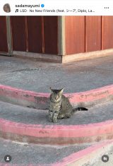 ���c�^�R�������J�����n���C���s�̎v���o�V���b�g (�ʐ^�̓C���X�^�O���� @sadamayumi ���) 