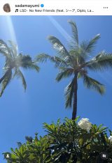 ���c�^�R�������J�����n���C���s�̎v���o�V���b�g (�ʐ^�̓C���X�^�O���� @sadamayumi ���) 