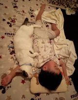 XAJEgES]ER4(@R453374510)̑qEljVƈLEC(ʐ^X) 