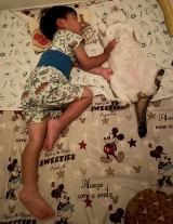 XAJEgES]ER4(@R453374510)̑qEljVƈLEC(ʐ^X) 