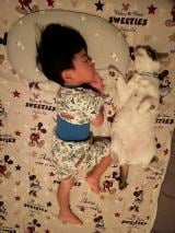 XAJEgES]ER4(@R453374510)̑qEljVƈLEC(ʐ^X) 