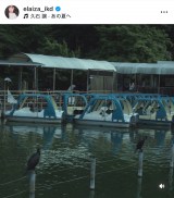 �r�c�G���C�U�u��ƎU���v �i�ʐ^�̓C���X�^�O����@elaiza_ikd ���j 