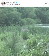 �r�c�G���C�U�u��ƎU���v �i�ʐ^�̓C���X�^�O����@elaiza_ikd ���j 