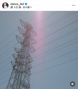 �r�c�G���C�U�u��ƎU���v �i�ʐ^�̓C���X�^�O����@elaiza_ikd ���j 