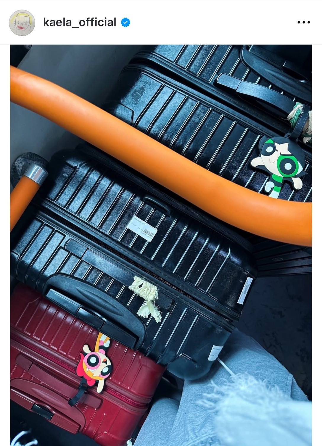 ؑJGul񂪒؍łd̂ŁAɍs܂v (ʐ^̓CX^O @kaela_official ) 