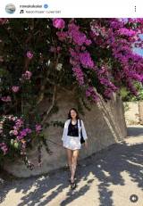 �t�����X���i��⨔��a�q�i�ʐ^�̓C���X�^�O���� @miwakokakei ���j 