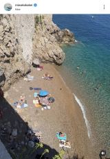 �t�����X���i��⨔��a�q�i�ʐ^�̓C���X�^�O���� @miwakokakei ���j 