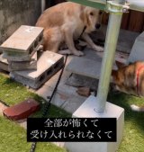 lɂɂЂǂ郉XNB̌c(摜@second.peace.0707) 