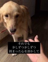 cɐSJn߂郉XNBāc(摜@second.peace.0707) 