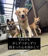 Ί悤!Ɂc(摜@second.peace.0707) 