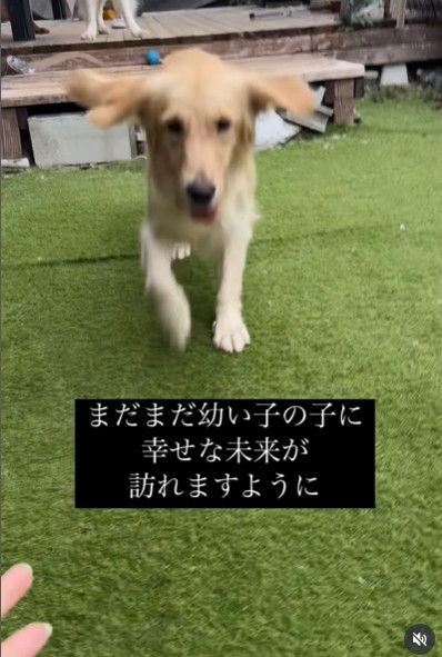 ی삩1BĉƂɋ삯c(摜@second.peace.0707) 