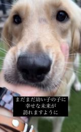 Â郉XN!(摜@second.peace.0707) 