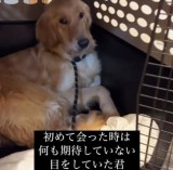 ی삵AP[W̋lqXNBɁc(摜@second.peace.0707) 