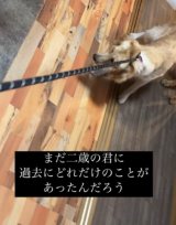 nrdˁc(摜@second.peace.0707) 