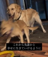 ꏏɕ炷ی쌢ƗVԂ悤!(摜@second.peace.0707) 