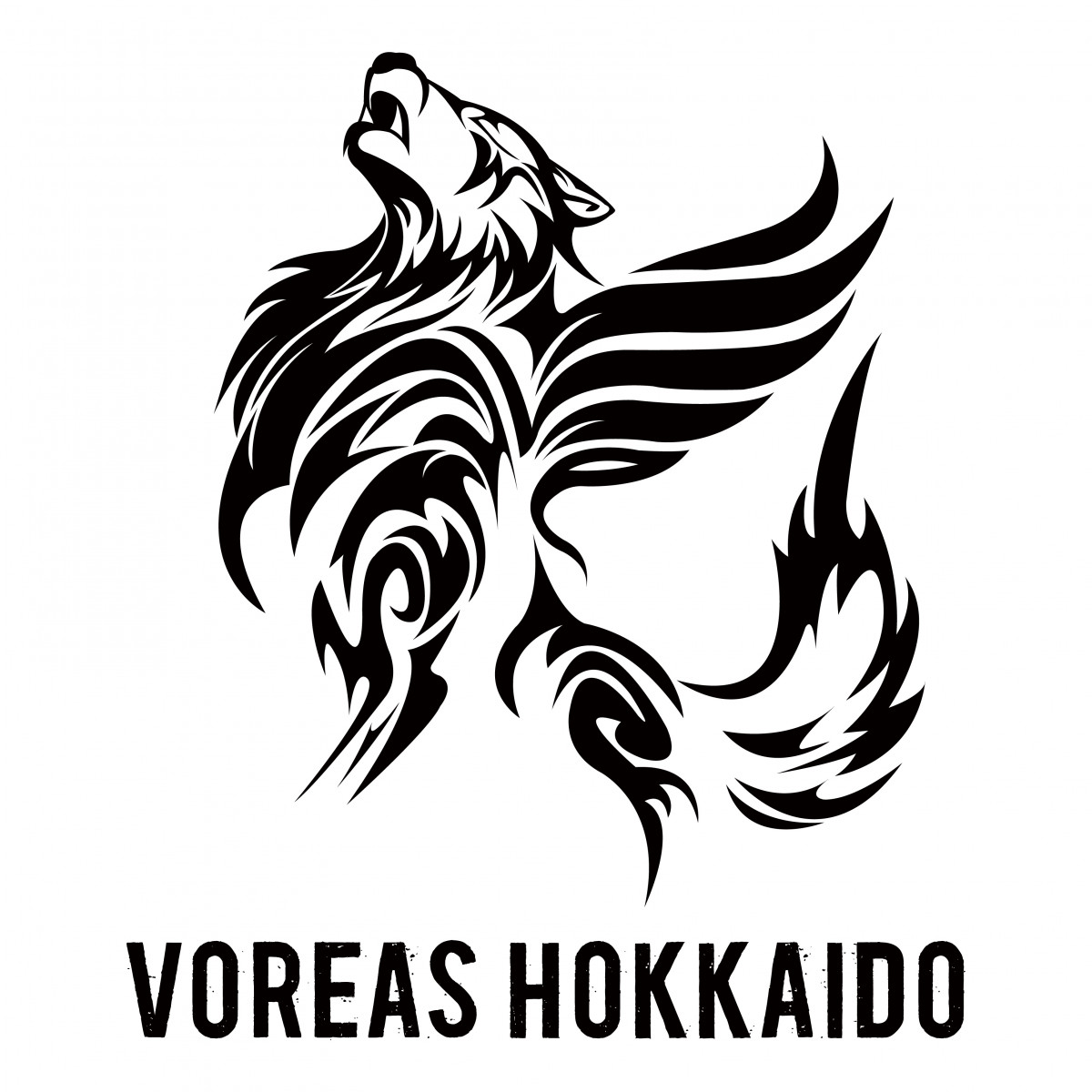 wOSAKA FUNtast!c SPORTS PROJECTxɎQ郔HAXkC 