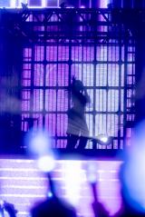 wAdo WORLD TOUR 2025 gHibanah Powered by CrunchyrollxTpE̖͗l Photo by Viola Kam (V'z Twinkle) 