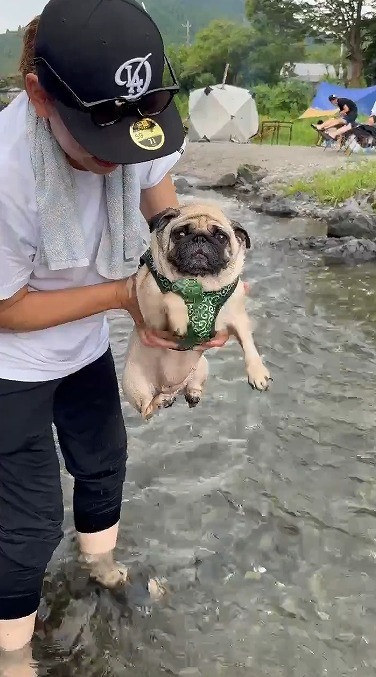 gGA[hpOE߂(摜:@Umechanpag) 