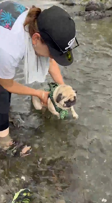 gGA[hpOE߂(摜:@Umechanpag) 