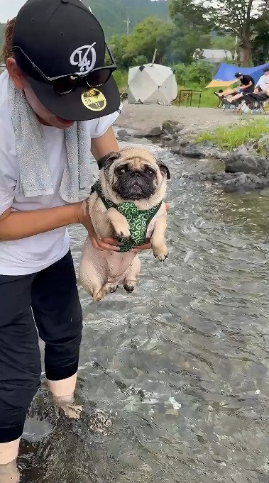 gGA[hpOE߂(摜:@Umechanpag) 