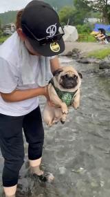 gGA[hpOE߂(摜:@Umechanpag) 