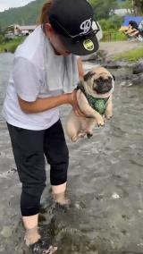 gGA[hpOE߂(摜:@Umechanpag) 