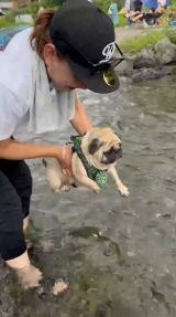 gGA[hpOE߂(摜:@Umechanpag) 