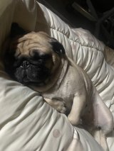 XAJEgE@Umechanpag̈E߂(ʐ^X) 