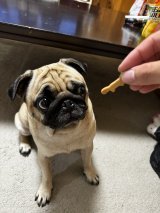 XAJEgE@Umechanpag̈E߂(ʐ^X) 