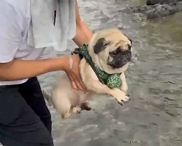 gGA[hpOE߂(摜:@Umechanpag) 