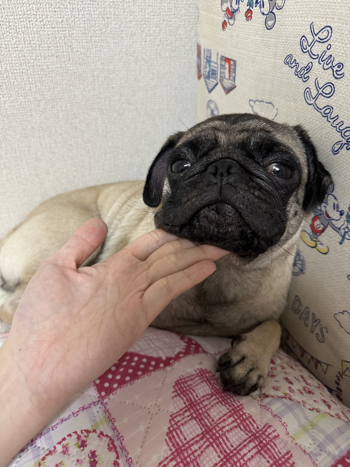 XAJEgE@lele_kköE肿(ʐ^X) 