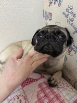 XAJEgE@lele_kköE肿(ʐ^X) 