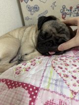 XAJEgE@lele_kköE肿(ʐ^X) 