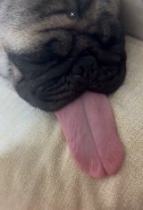 XAJEgE@lele_kköE肿(ʐ^X) 