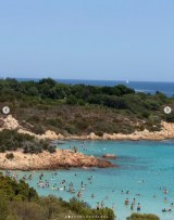 �C�O���s�𖞋i����⨔��a�q(�ʐ^�̓C���X�^�O���� @miwakokakei ���) 