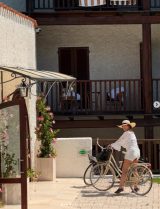 �C�O���s�𖞋i����⨔��a�q(�ʐ^�̓C���X�^�O���� @miwakokakei ���) 