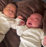 �Ԃ������Ă���Ȃɗ�߂��ڂł���̂��c�����̃M���������A�݂��Ɂh���Ή��h �u�o�q�̂��鐶���v��212���Đ� 